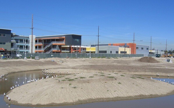 Phase 1, before the greening, of the Wetlands | Photo by Maria Lopez