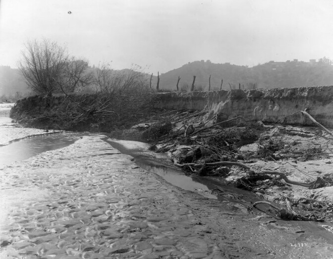 Uprooted Trees Along LA River