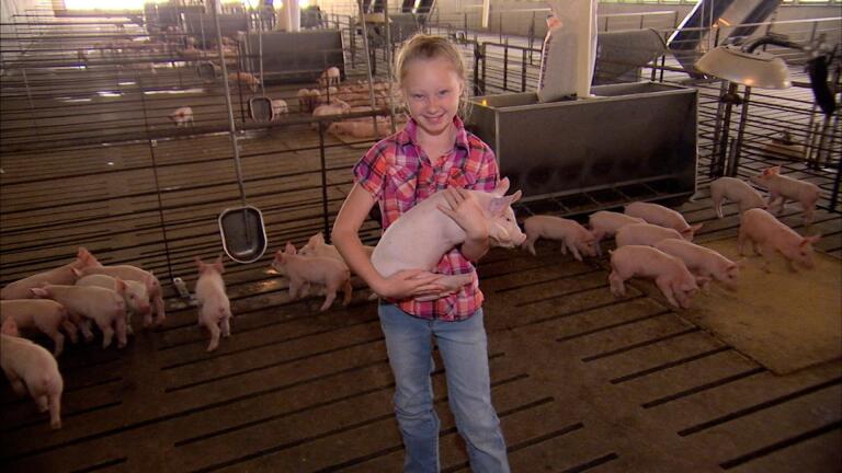 Ohio Surber Hog Farm