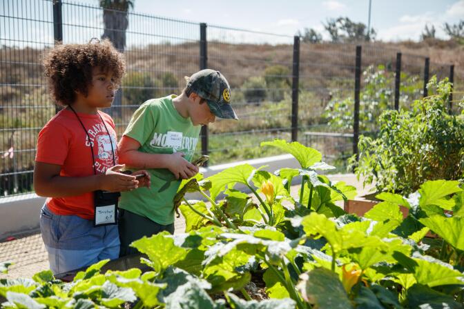 Children examining plants | Natural History Museum of Los Angeles County. Courtesy of Miguel Ordeñana