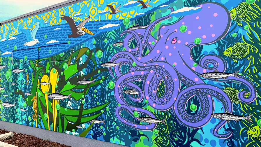 A colorful mural showing purple octopus, kelp, pelicans and fish.