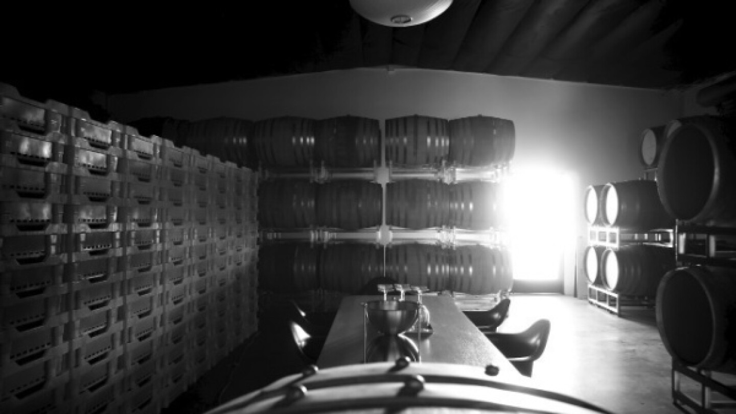 syrah1-600