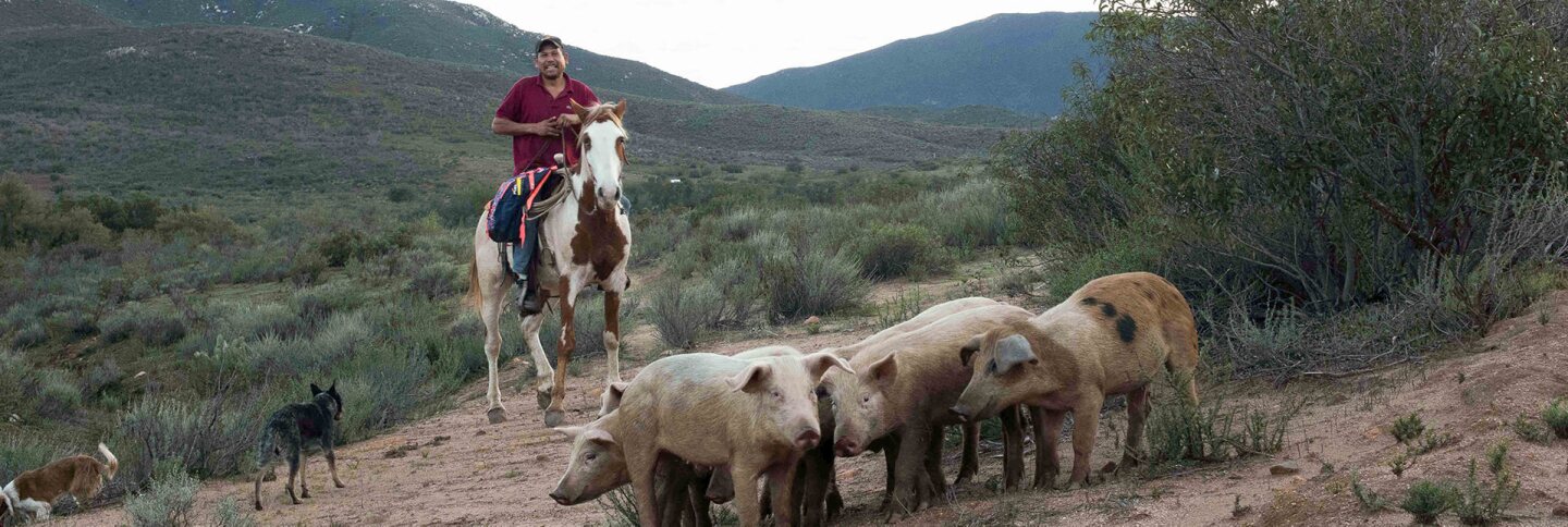 Fausto Diaz in San Jose de la Zorra | Rose Ramirez