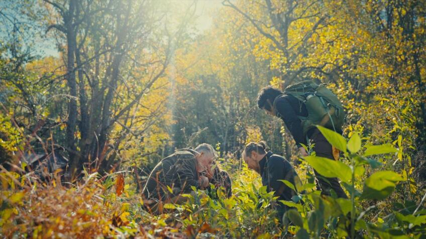 Great Smoky Mountain National Park