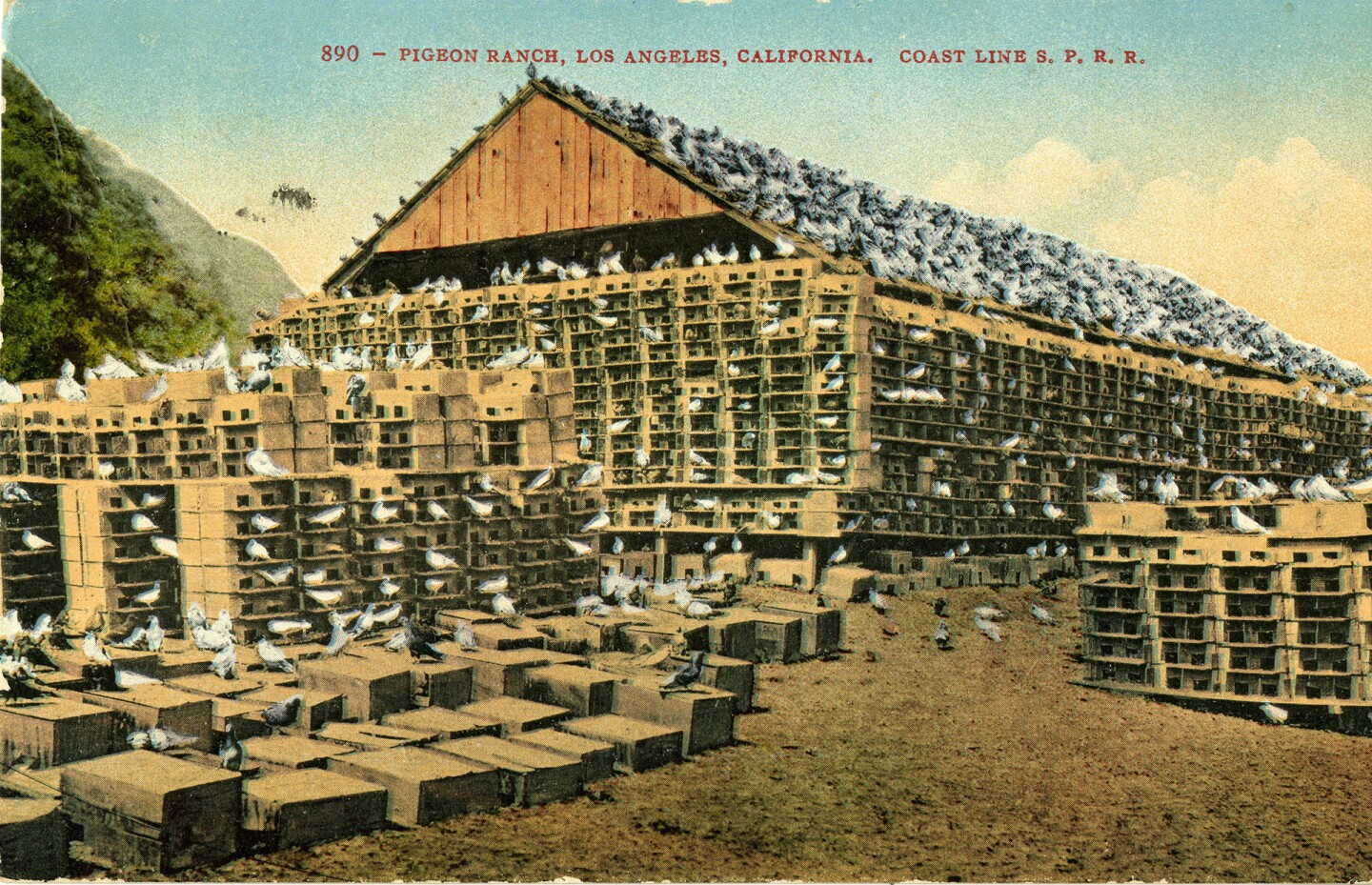 Pigeon Ranch postcard, circa 1907/14