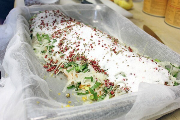 salmonpost3