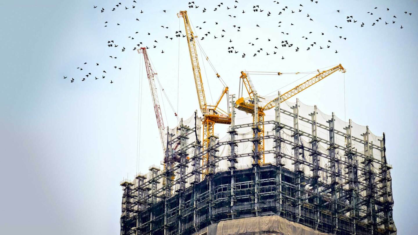 Birds flying around a building under construction. (Built to Last featured)