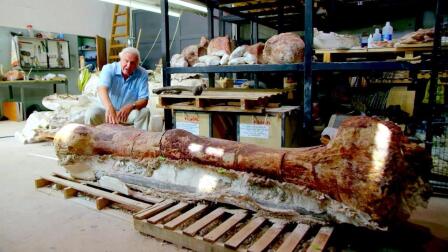 Did This Thighbone Belong to the World's Largest Dinosaur?