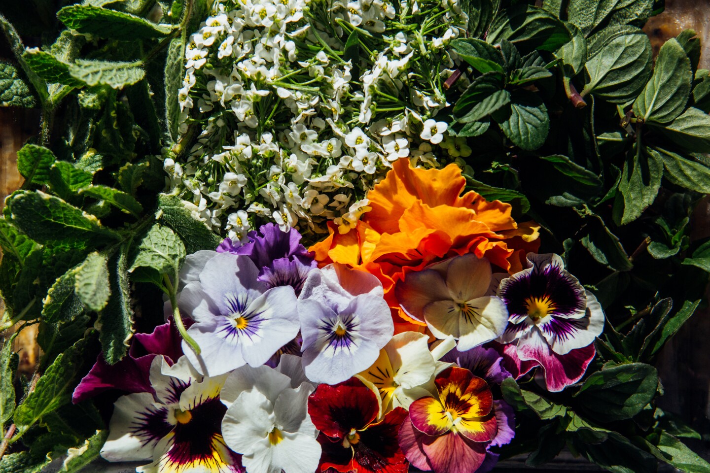 Aaron Choi grows herbs and flowers, among the many vegetables at Girl & Dug Farm.