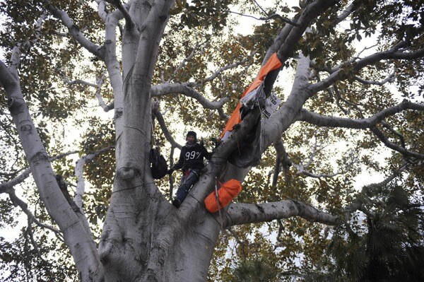 occupy-la-tree-sitter1