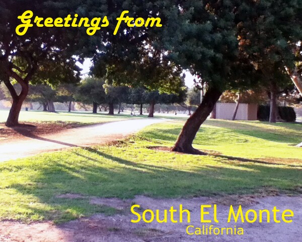 By Laura To, student at Mountain View High School