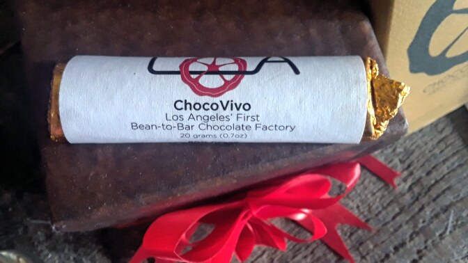 choco vivo