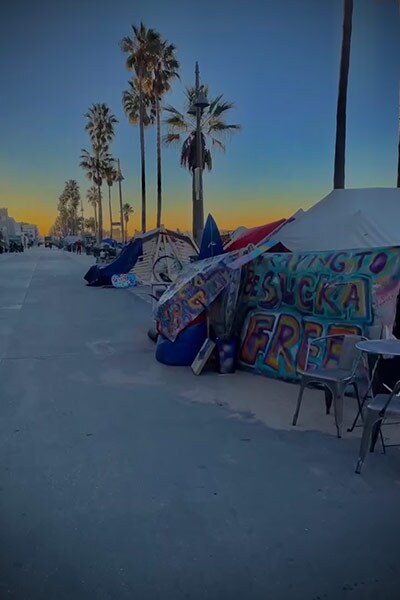 Two decorated tents sit on a sidewalk lined with palm trees at sunset. 