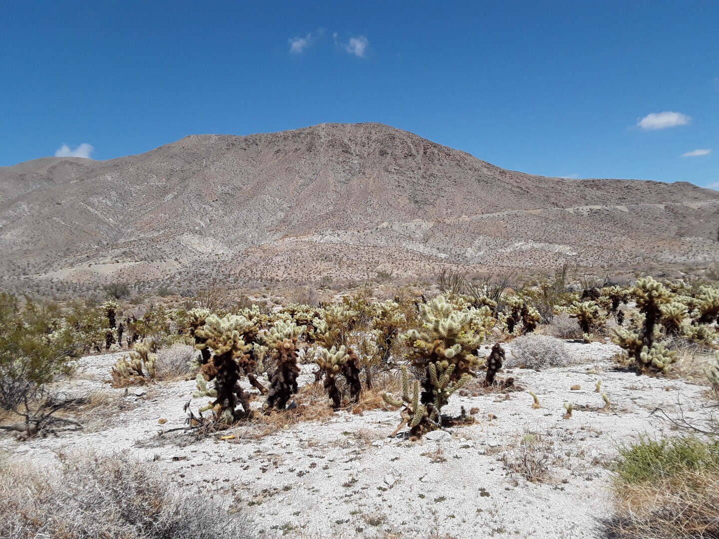 1-Great Southern Overland-1.jpeg