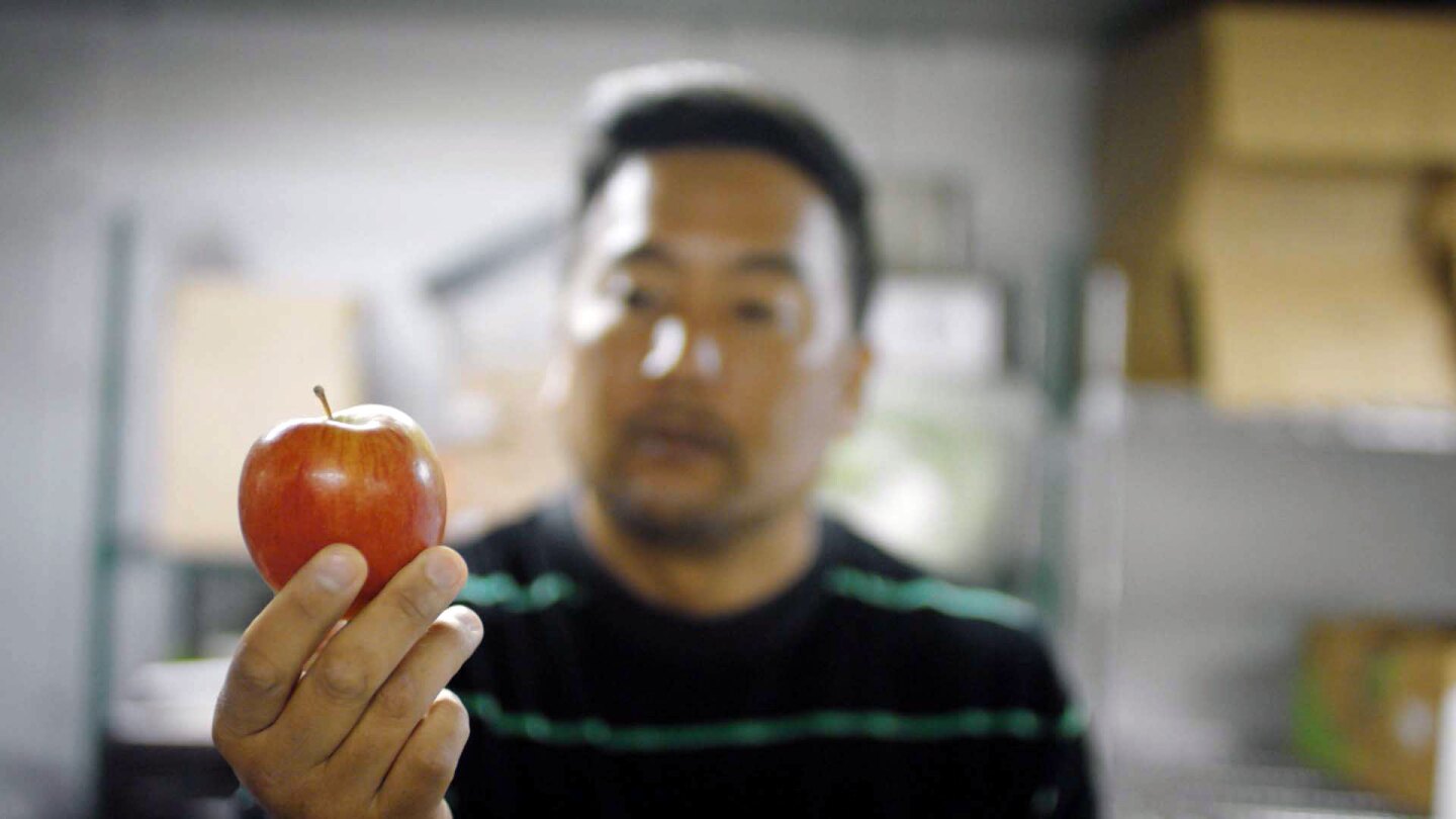 Roy holds an apple rejected by the grocery store. | Still from "Broken Bread"