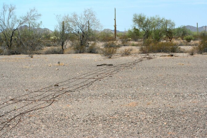 cabeza-prieta-border-fence-5-10-16.jpg