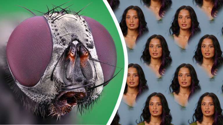 I Simulated Insect Vision and It Got WEIRD