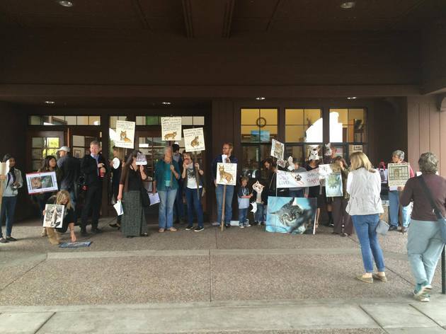 bobcatprotest-thumb-630x472-99400