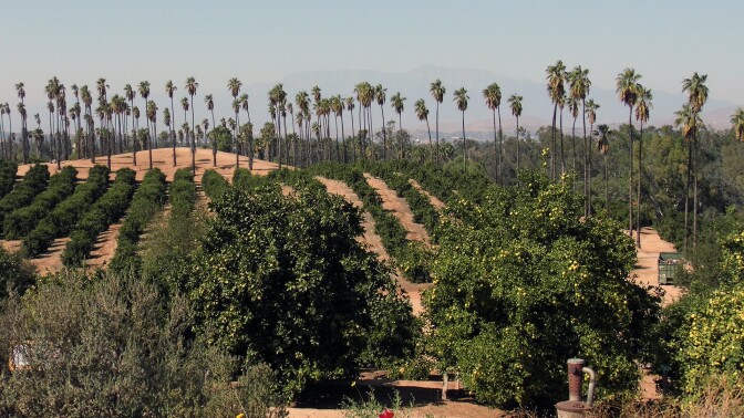 California citrus state historic park