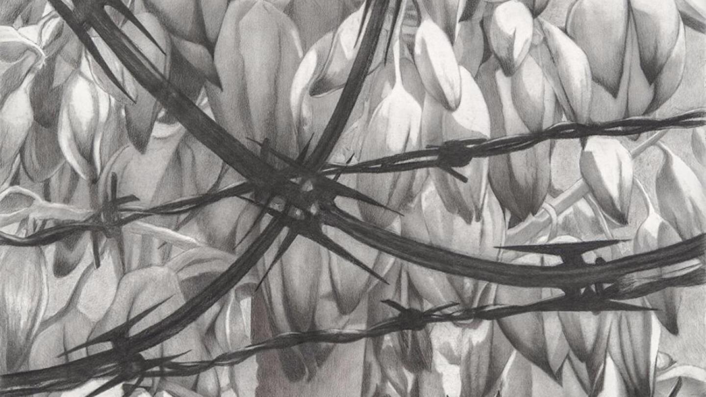 Catherine Ruane's "Constantine" barbed wire pinning back desert blossoms | Courtesy of the artist