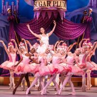 "Nutcracker from English National Ballet" Preview