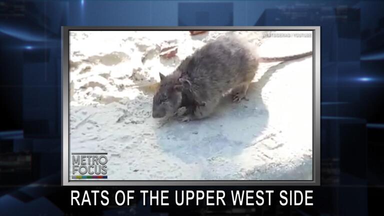 MetroFocus: August 11, 2017