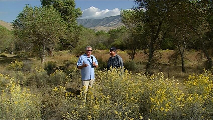 Kern River Preserve