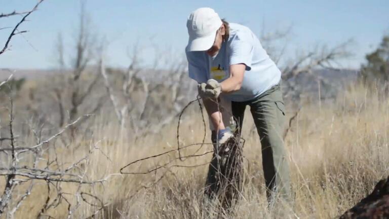 Getting rid of barbed wire