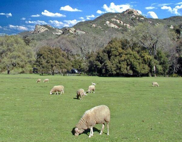 Rinconada