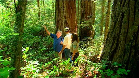 Headwaters Forest Reserve