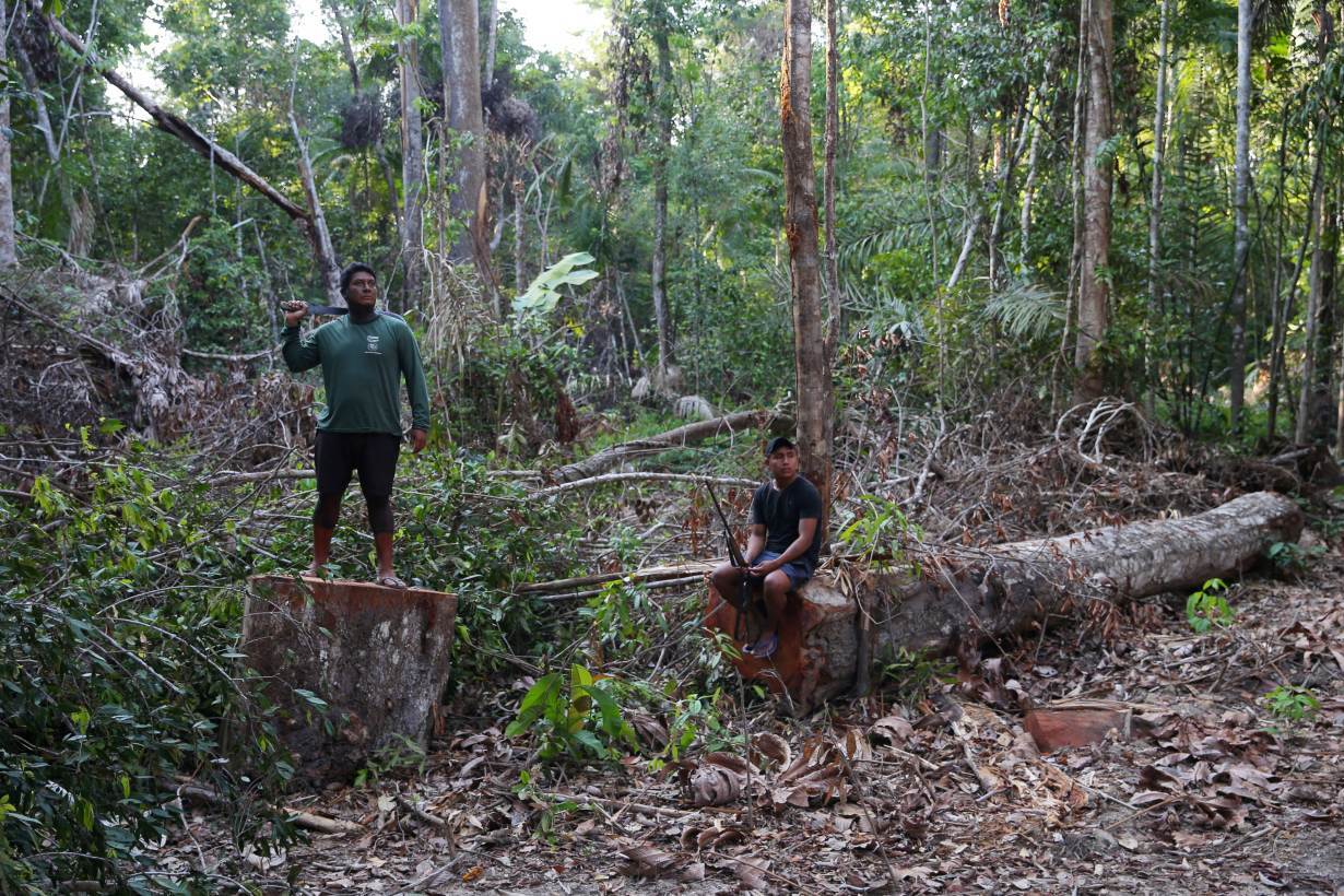 Kayapo indigenous men stand on a tree log and a tree stump left by loggers who fled when they where doing a surveillance patrol on their land in the Amazon near Novo Progresso, Para state, Brazil September 13, 2019. REUTERS/Amanda Perobelli