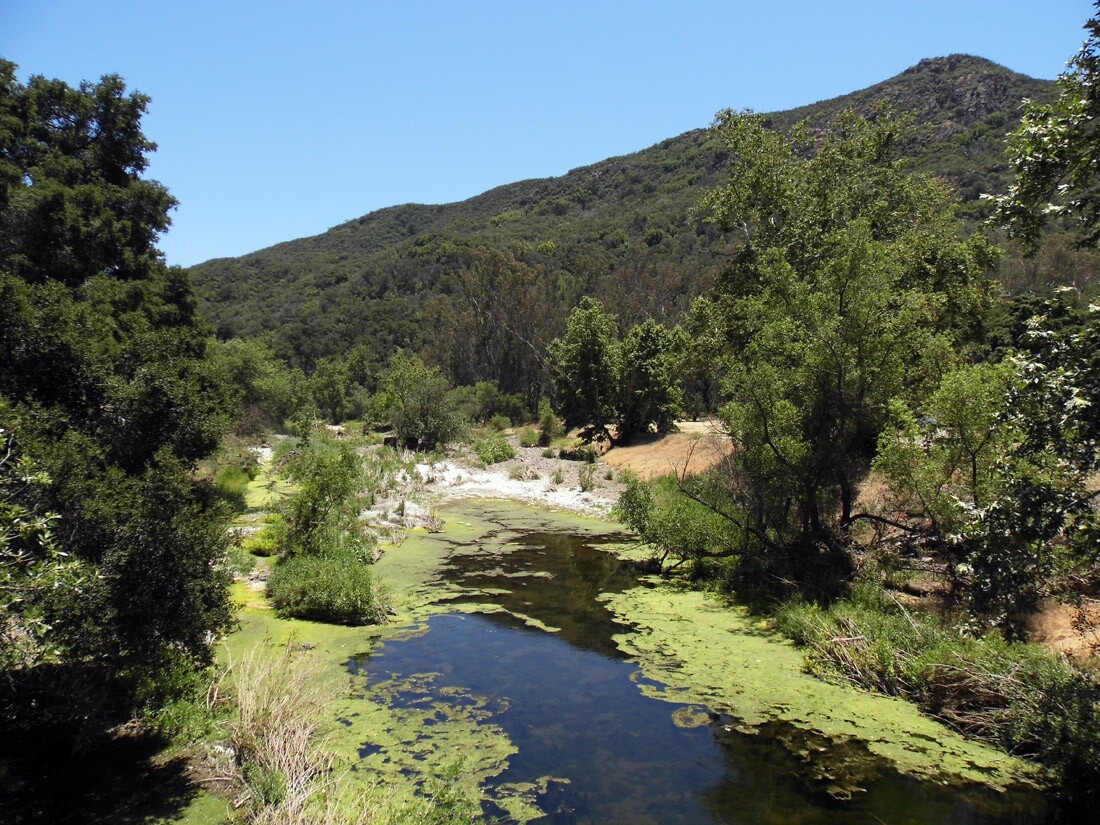 Peter Strauss Ranch