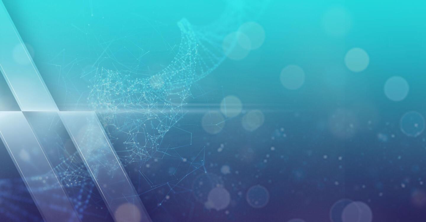 Horizons from PBS News