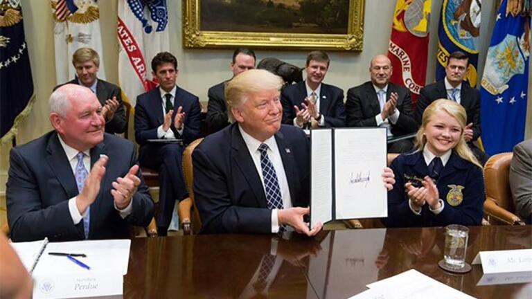 Donald Trump's first 100 days