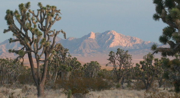 Spirit Mountain. Photo by Chris Clarke