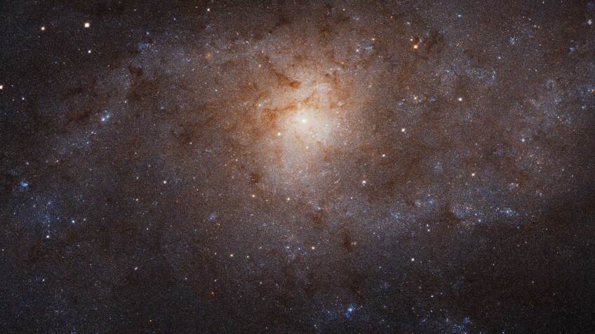 NASA's Hubble Space Telescope maps the undisturbed Triangulum galaxy (M33) in an image that spans 14,500 light-years | NASA, ESA and M. Durbin, J. Dalcanton, and B.F. Williams (University of Washington)