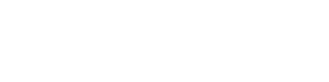 The Lady with the Black Veil