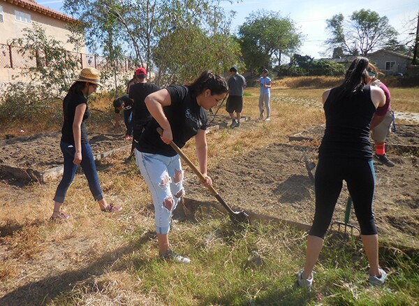 Students Gardeners Till the Soil and De-weed for the Planting of a New Crop