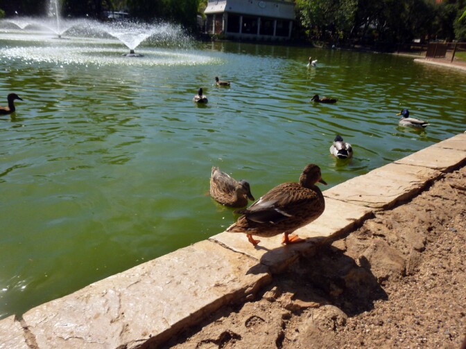 Los Encinos State Historic Park