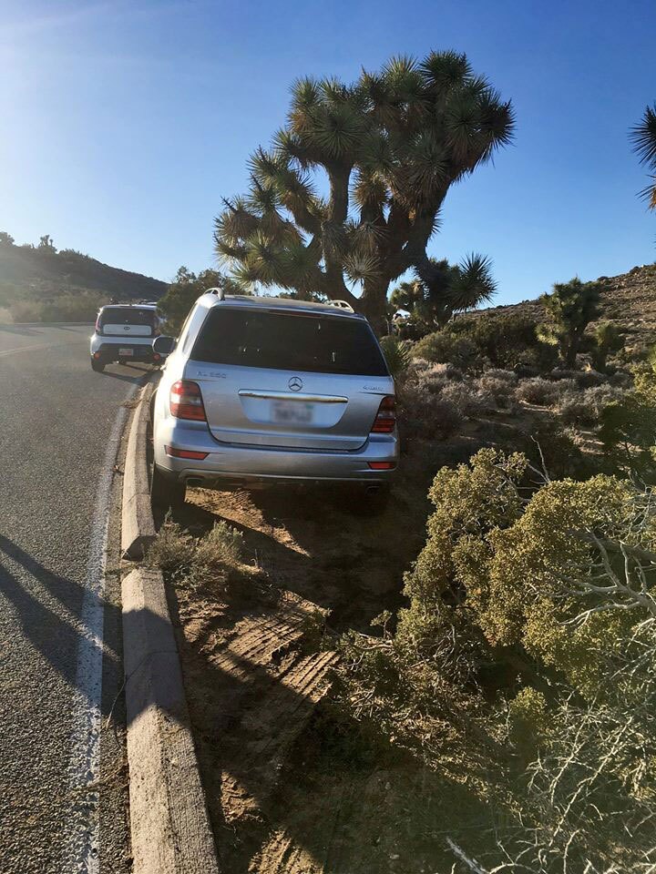 Bad parking job at Joshua Tree