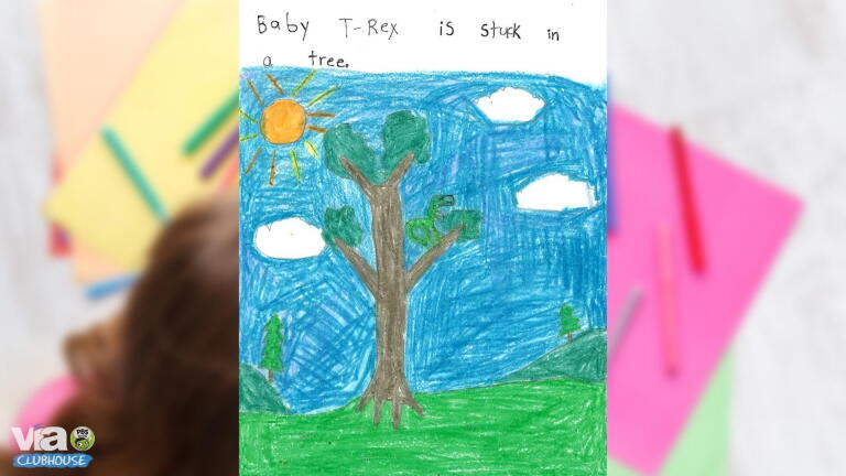 Asher Ulmer - 2nd Grade Winner PBS Kids Writers Contest