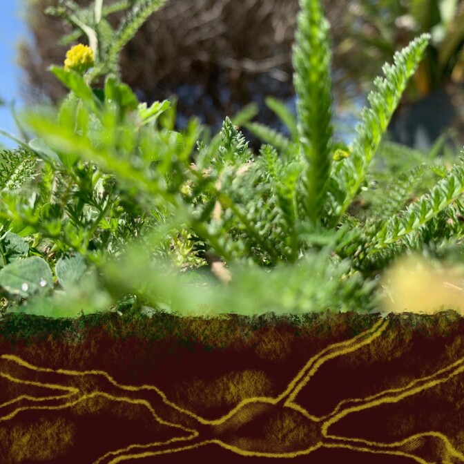 Cover for "My Queen" where listeners are guided to a miniature land | Courtesy of The Unmarked Door