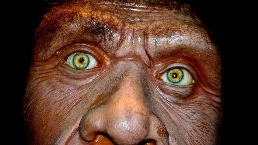 Caveman Cold Case