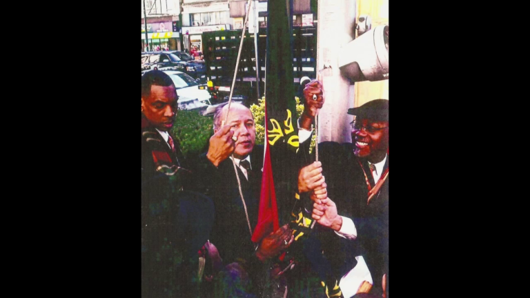 803: Black American Heritage Flag