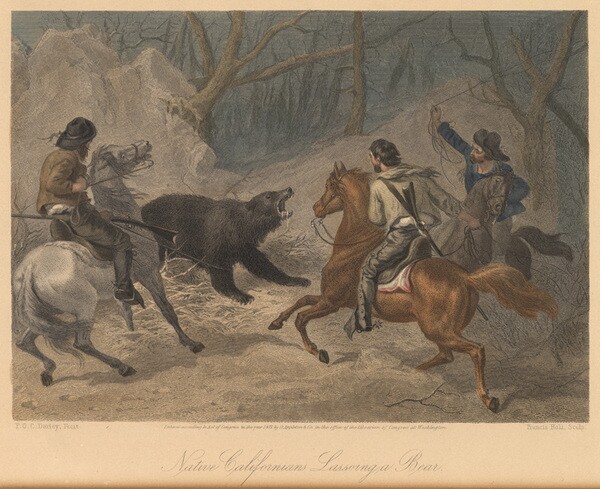 Californians capture a grizzly bear. Courtesy of the California State Library.