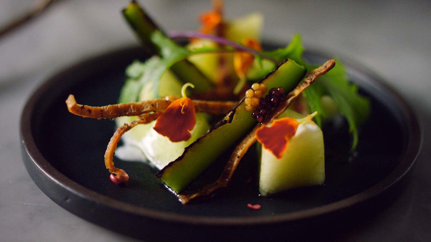 Jack rabbit salad