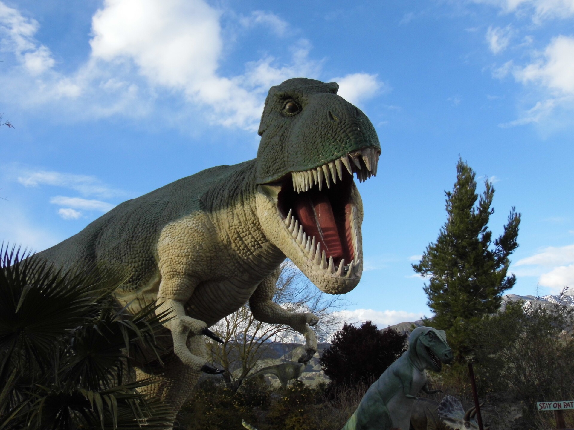 A giant dinosaur sculpture stands with its mouth wide open, showing off its rows of sharp teeth.  