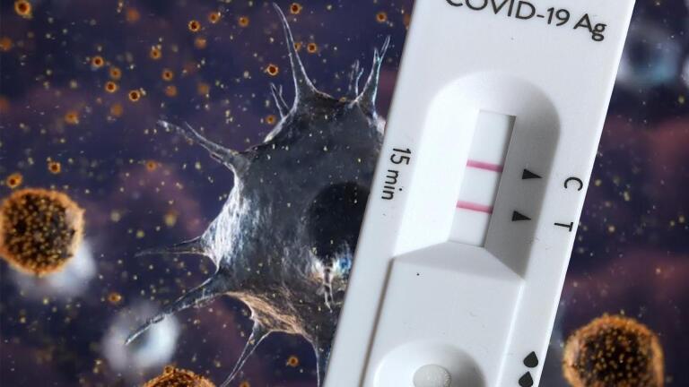 How Long Does Covid-19 Immunity Last?