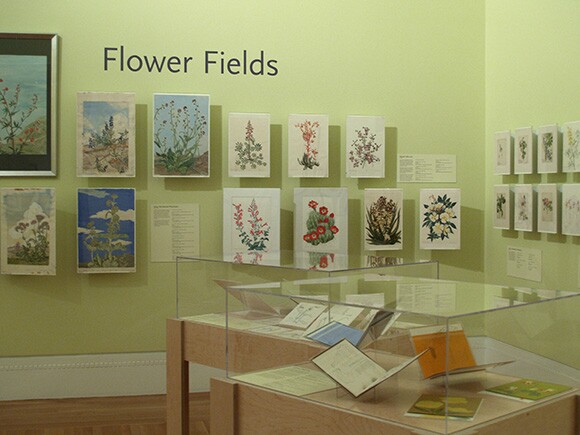 "When Were They Wild," installation shot | Photograph: Jane Tsong, Courtesy: Jane Tsong.
