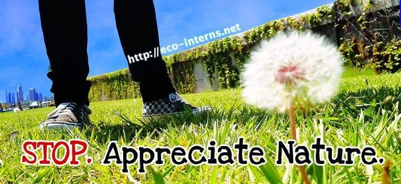 Eco-Interns Billboard "Stop Appreciate Nature." Image courtesy UCLA REMAP and IMLab.